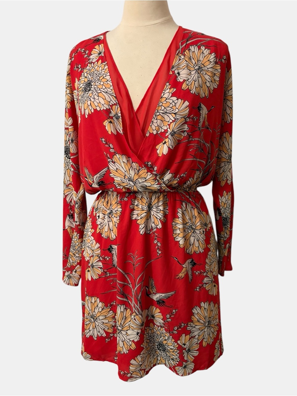 Express Red Floral Mini Dress